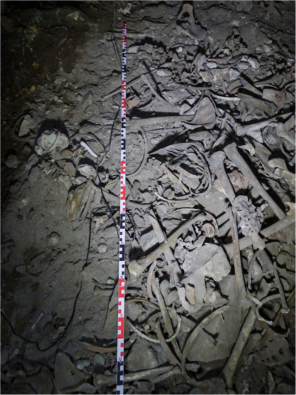 Ancient DNA from Ladakh reveals a 2,800‑year‑old Tibetan–South Asian mixed population