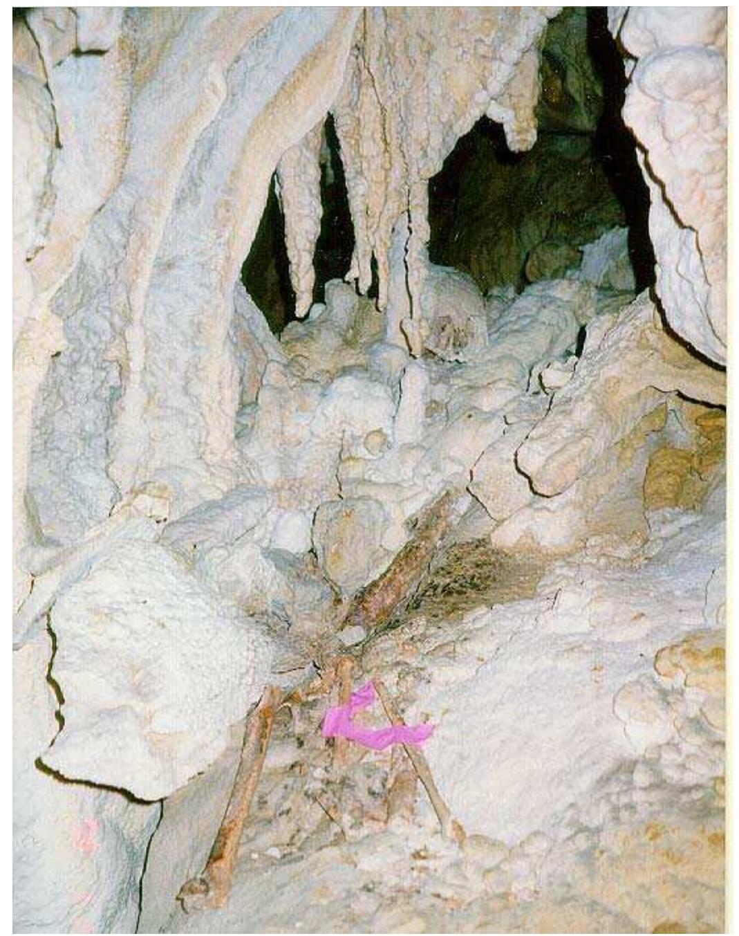 Ancient DNA Shows Papuan–East Asian Mixing Before First Settlement of Palau