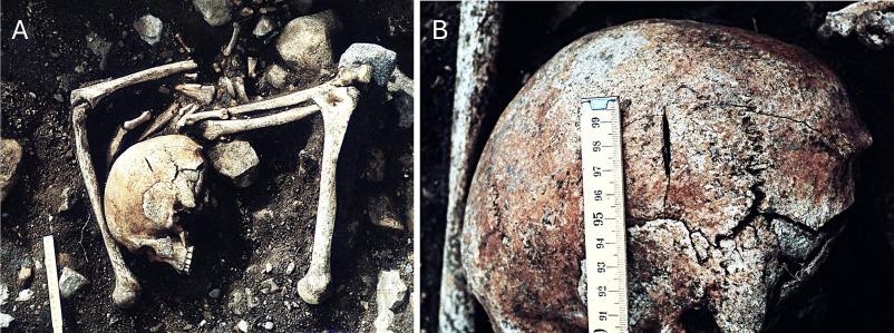 Kinship and Violence in a Rare Viking-Age Multiple Burial from Semigallia, Latvia