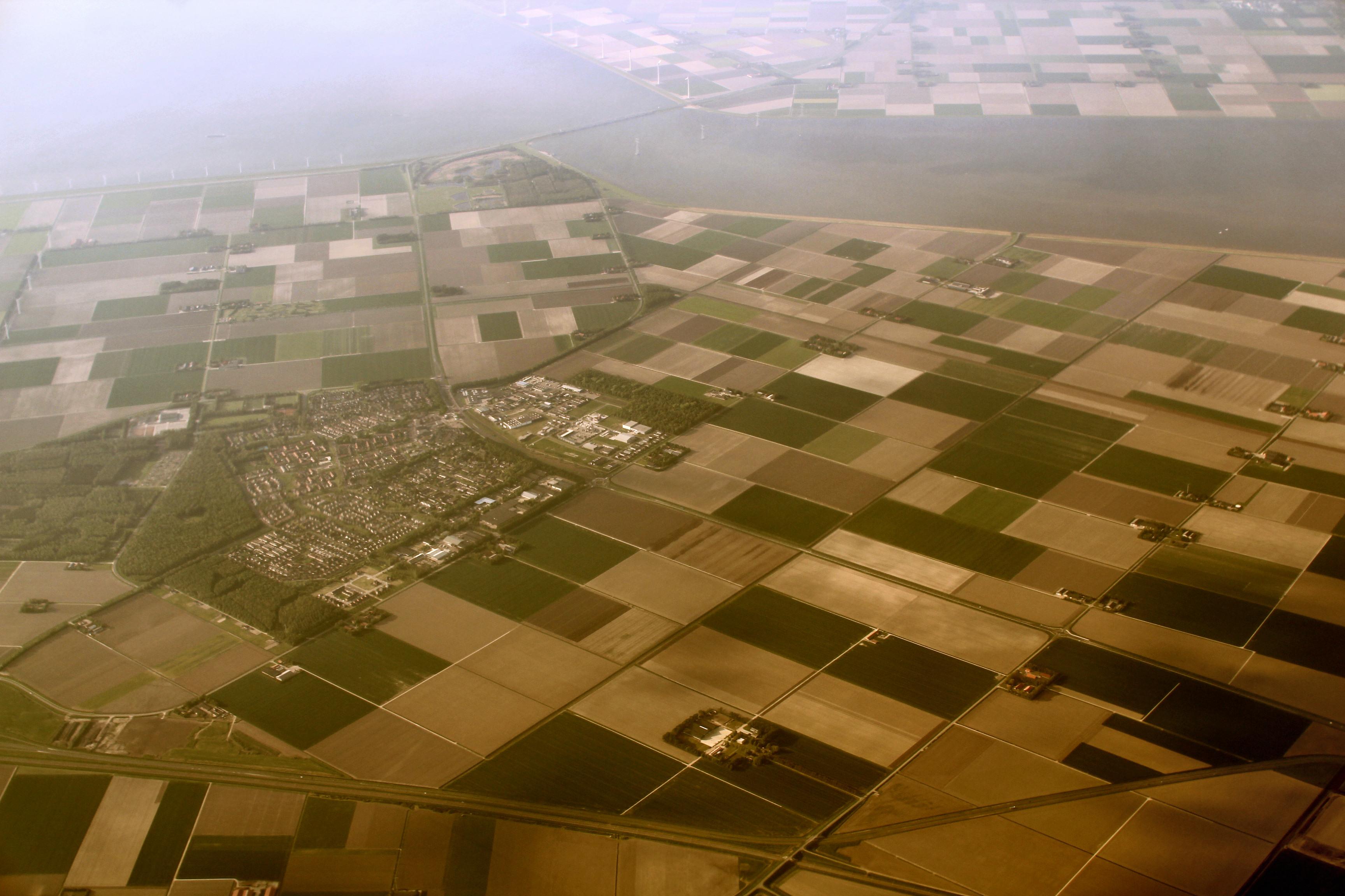 Persistent Forager Ancestry and the Rise of Bell Beaker Peoples in the Lower Rhine–Meuse Region