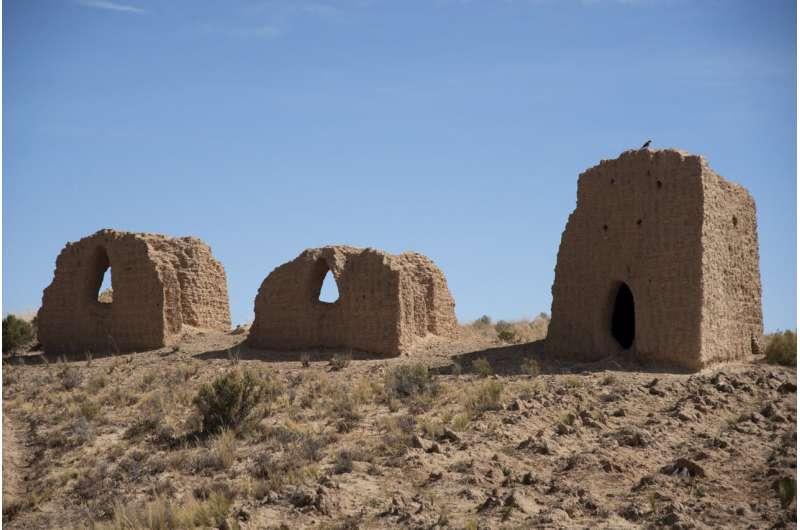Ancient Streptococcus pyogenes Genome from a Pre‑Columbian Bolivian Mummy Reveals Early American Lineage