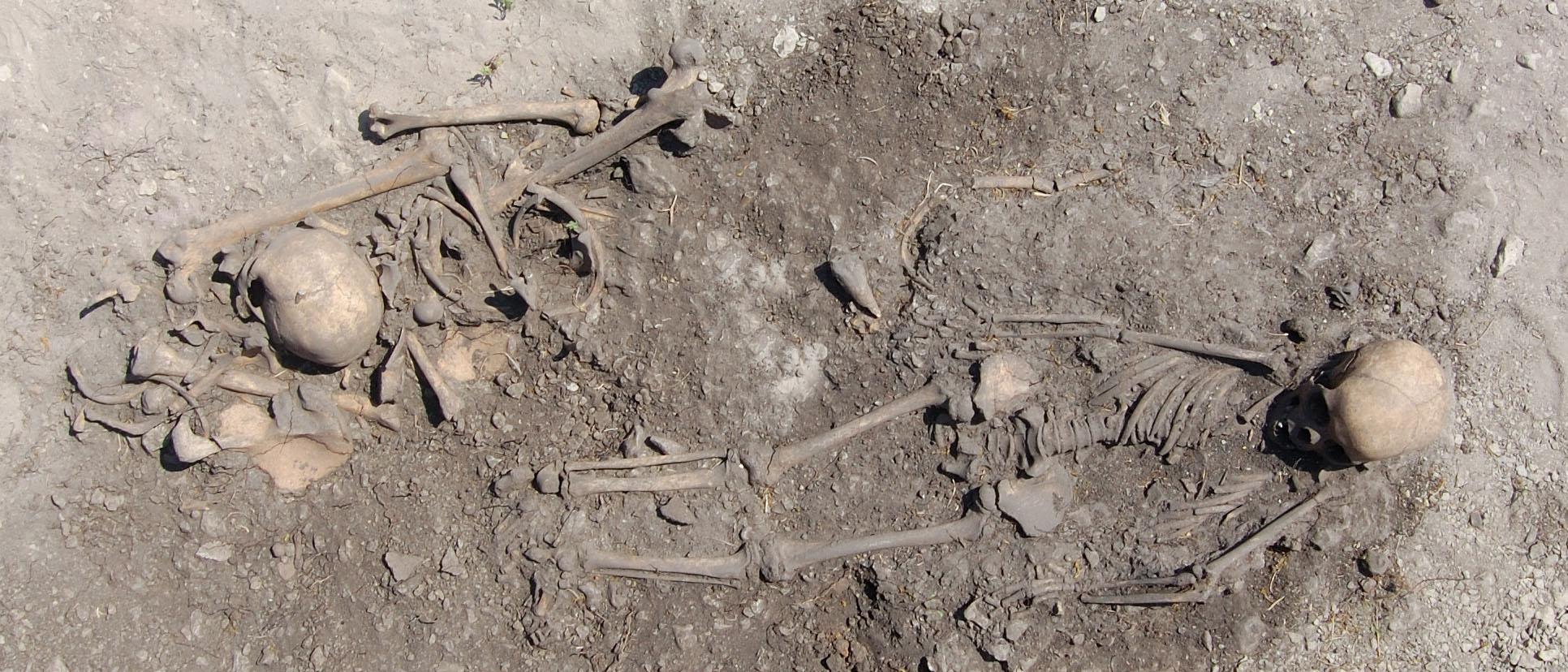 Neolithic Farmers, Foragers, and Plague on Gotland: Ancient DNA Reveals Ancestry, Admixture, and Disease