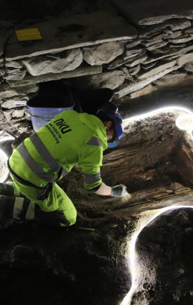 Archaeological Bone Microbiomes and Bioerosion