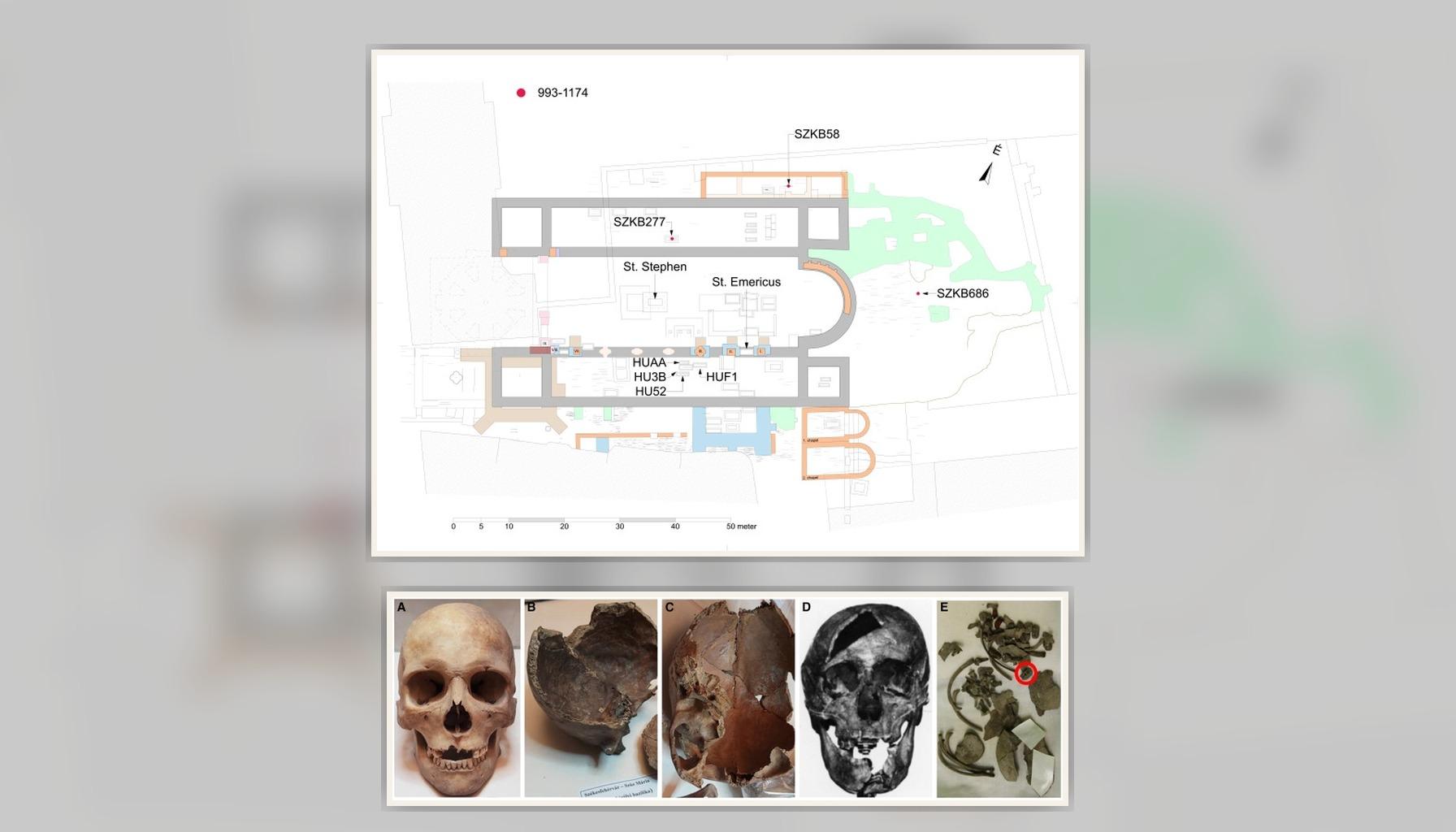 Ancient DNA reveals Hungary’s Árpád dynasty burials