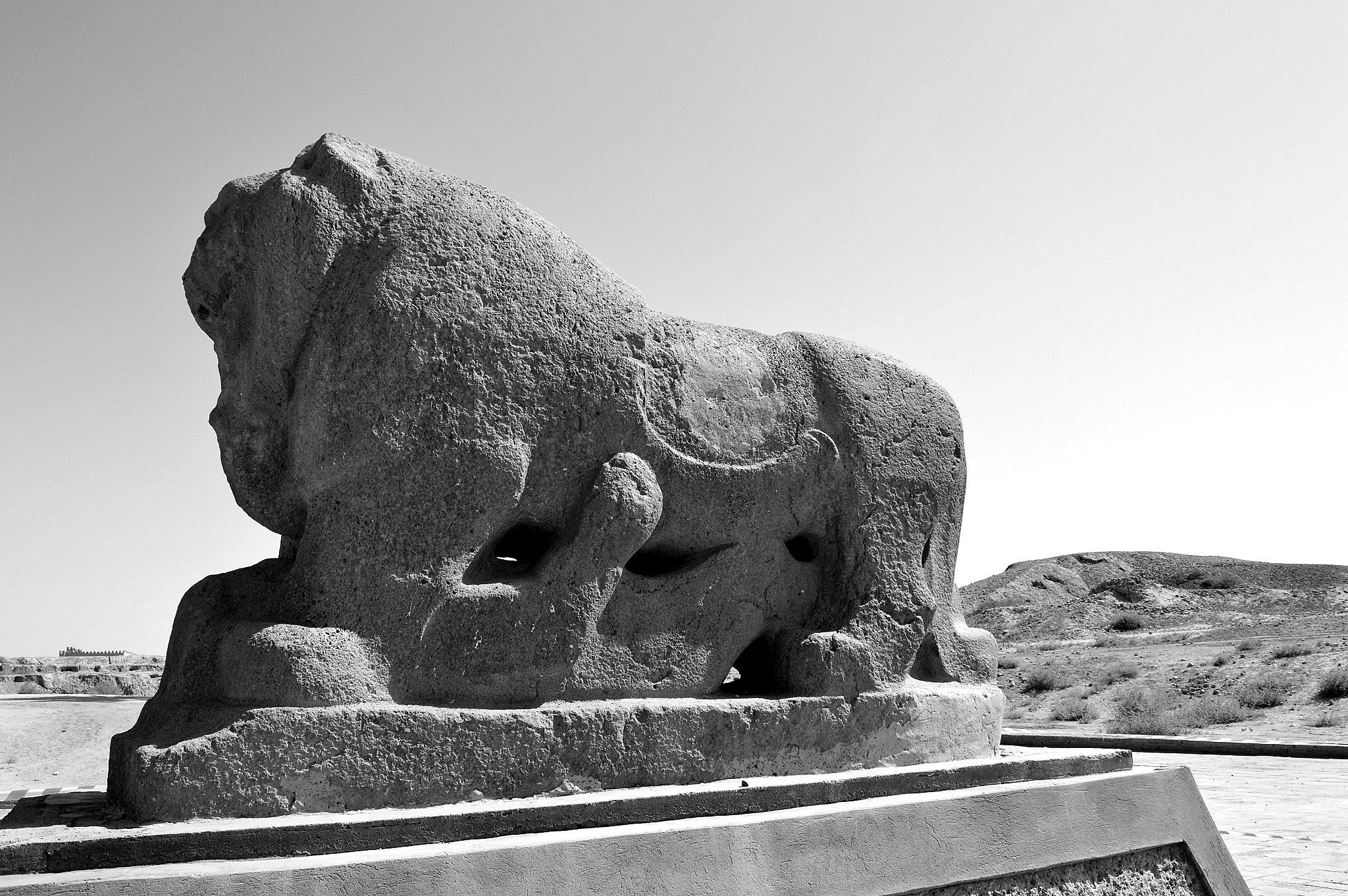 Ancient DNA from Bakr Awa: Tracking Population Change in Bronze and Iron Age Mesopotamia