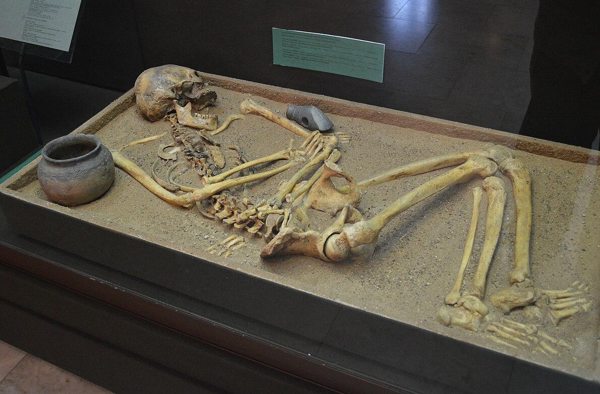 Unveiling Bronze Age Histories: DNA, Pathogens, and Cultural Dynamics Across Eurasian Civilizations