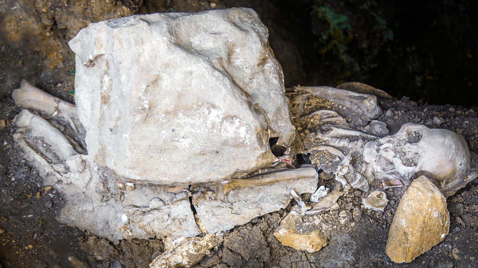 Ancient DNA reveals how selection shaped modern human genomes