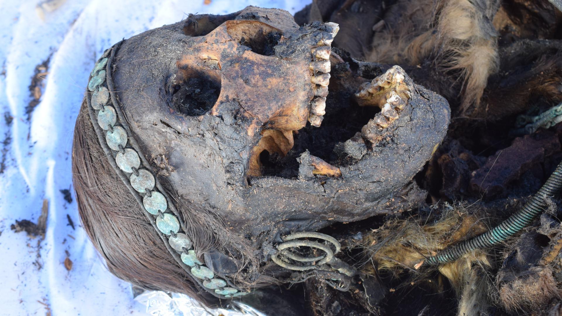 Ancient DNA reveals Yakut origins and resilience under Russian conquest