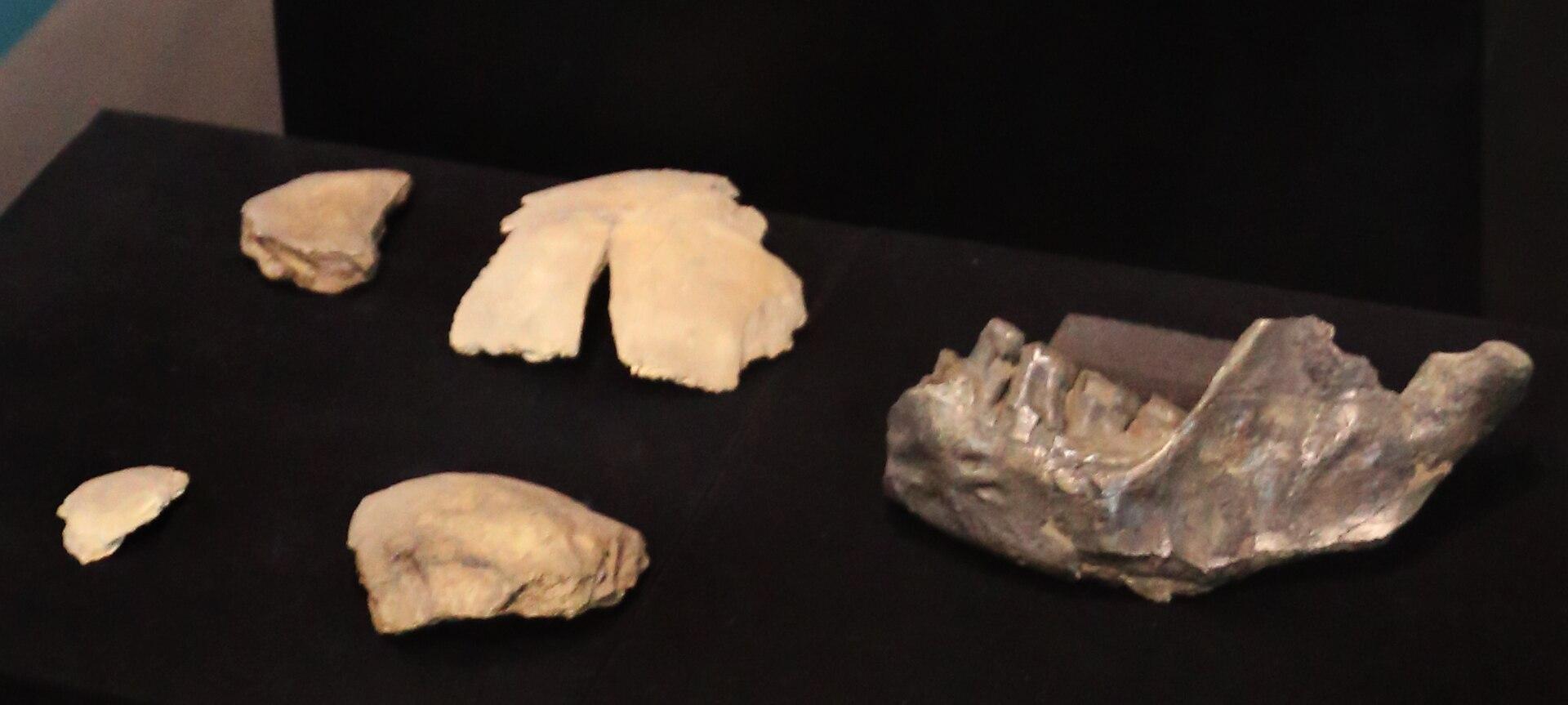 Integer Partitions Reveal Super-Archaic Gene Flow in Human Ancestry