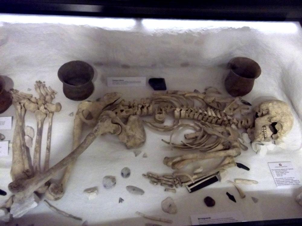 Diet-Driven Natural Selection in Ancient Britain