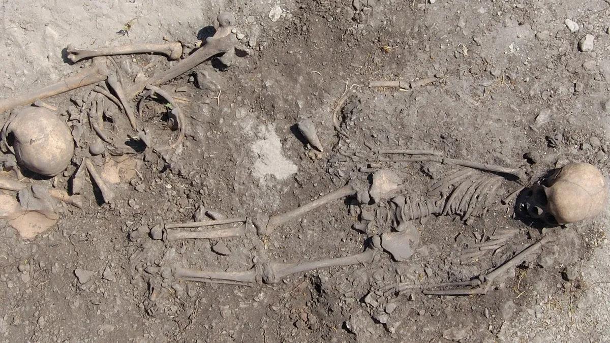 Kinship and Co‑Burial in Neolithic Sweden