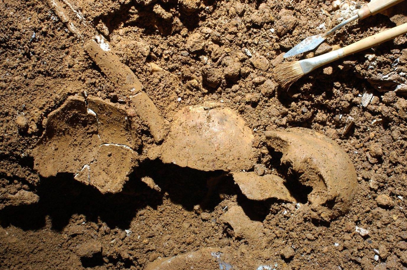 Bronze Age Calabria DNA Reveals Inbred Community and a Rare Father–Daughter Incest Case