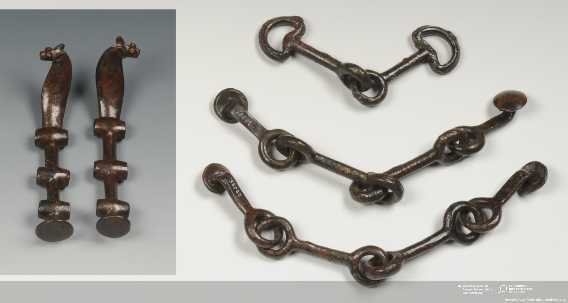 Kinship and long-distance genetic networks in Early Bronze Age Lower Austria