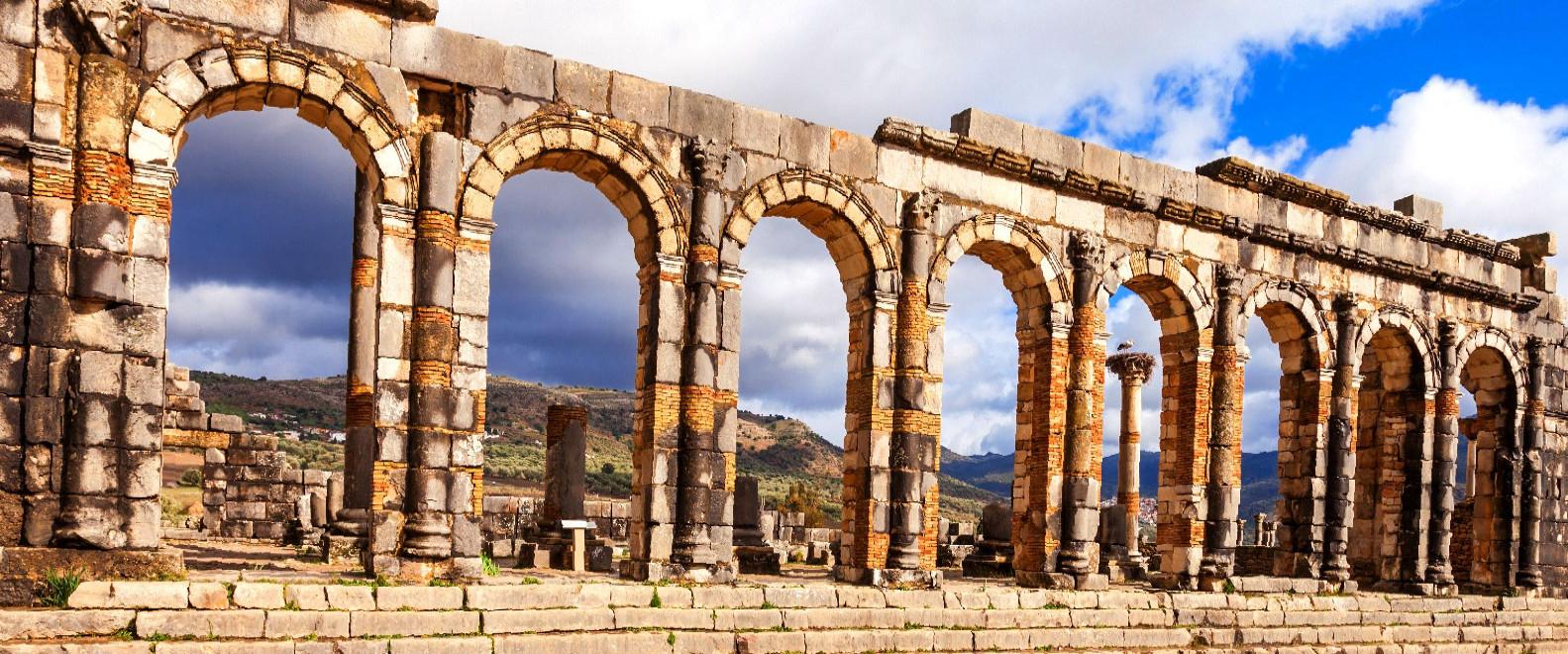 Tracing the Evolutionary Tapestry of North Africa