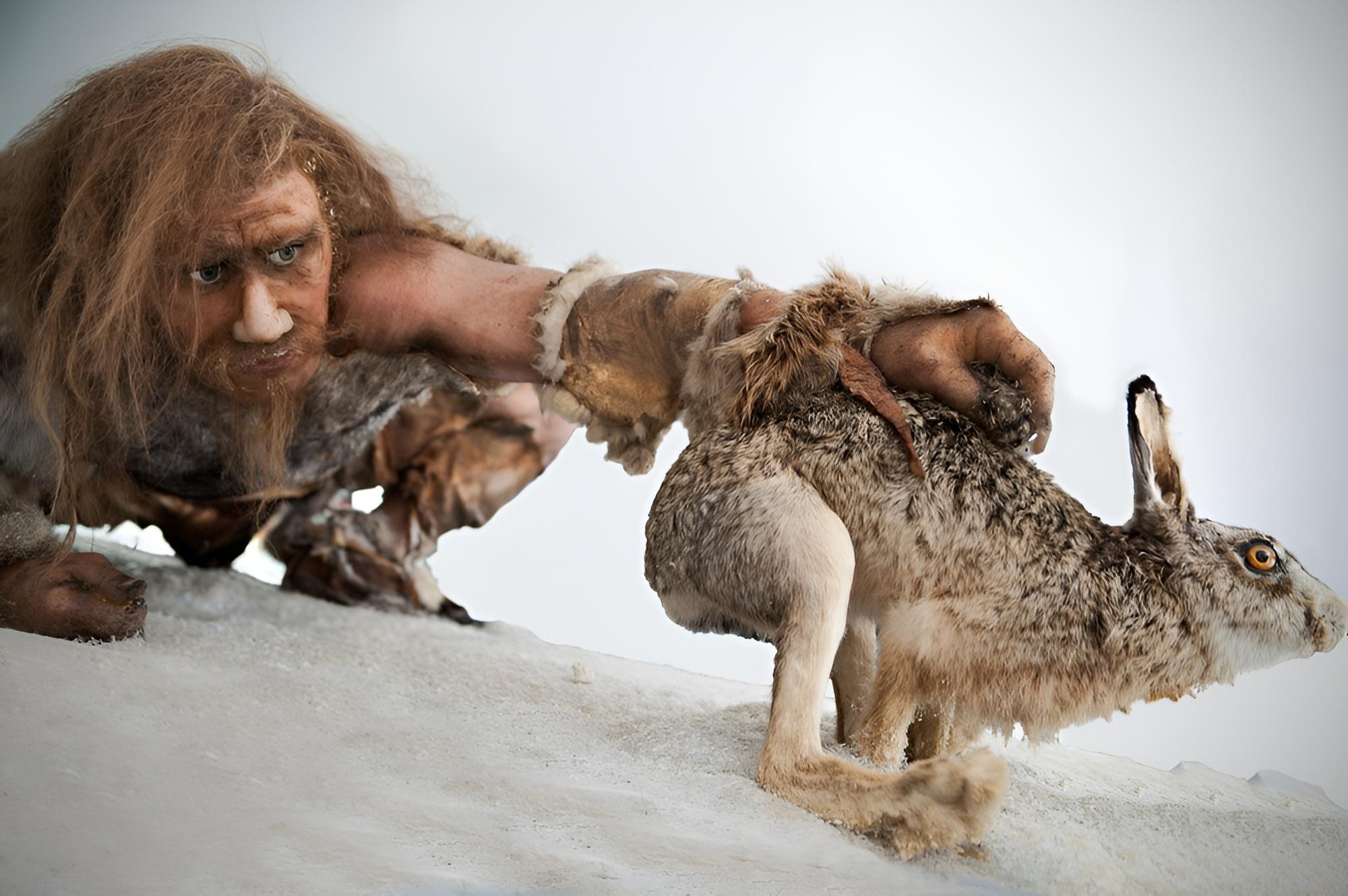 Neanderthal Fat Factory: Discovering the Diet of Neanderthals