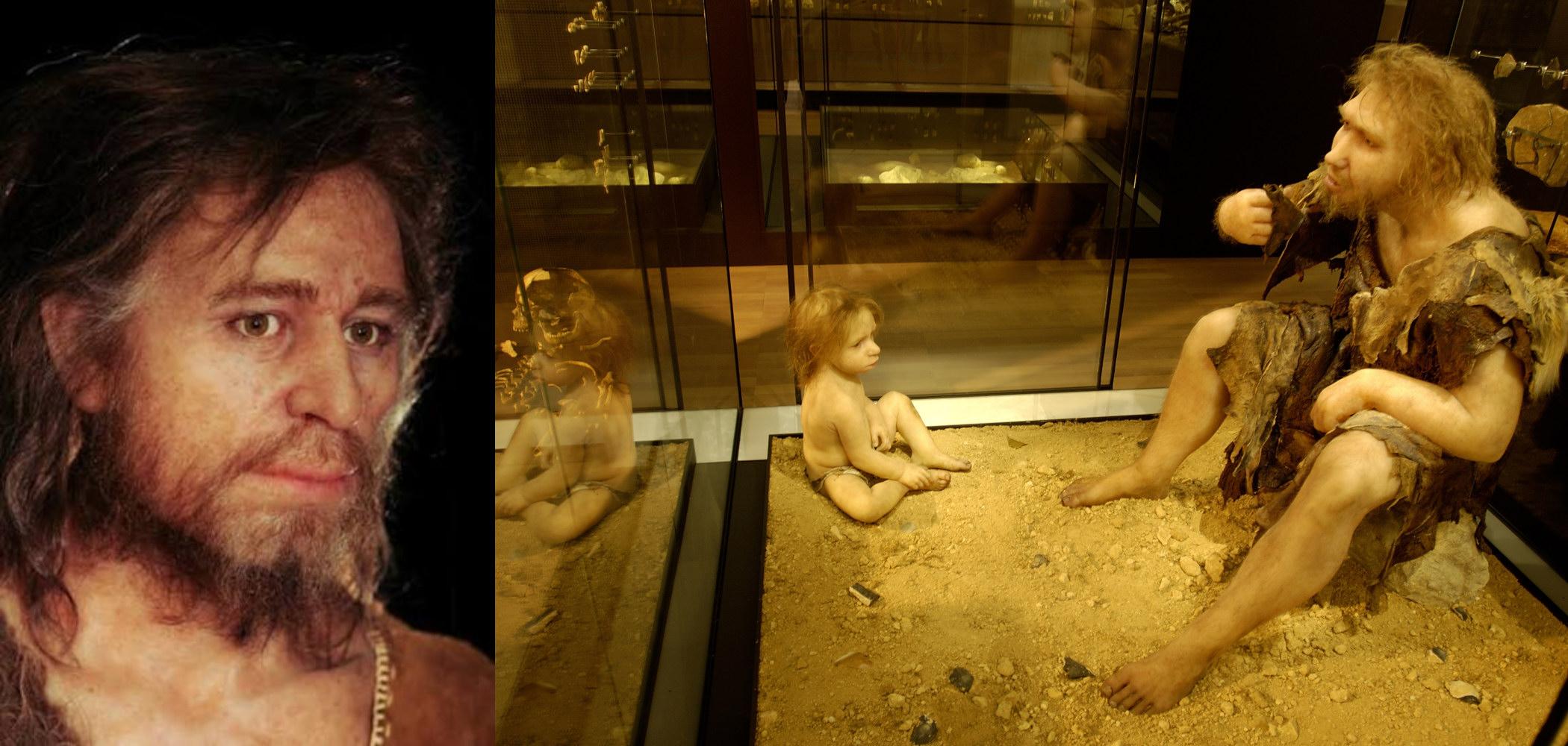 Ancient DNA and Cerny Culture Ancestry in Neolithic France