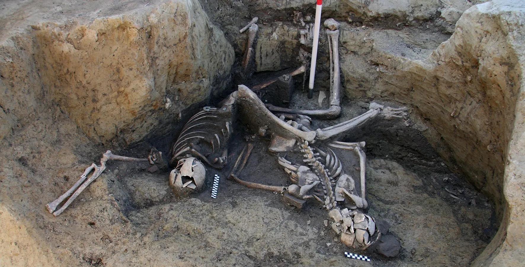 The Mursa Mass Grave: Roman Military History in Croatia