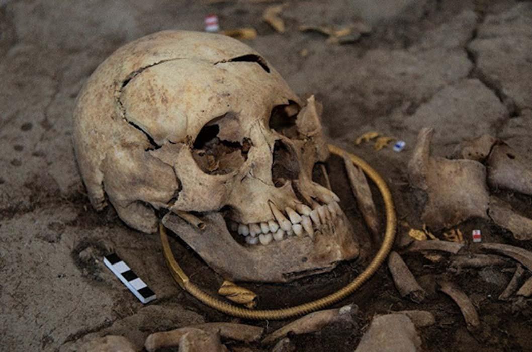 Unraveling Iron Age Saka Culture through Ancient DNA Analysis in Kyrgyzstan
