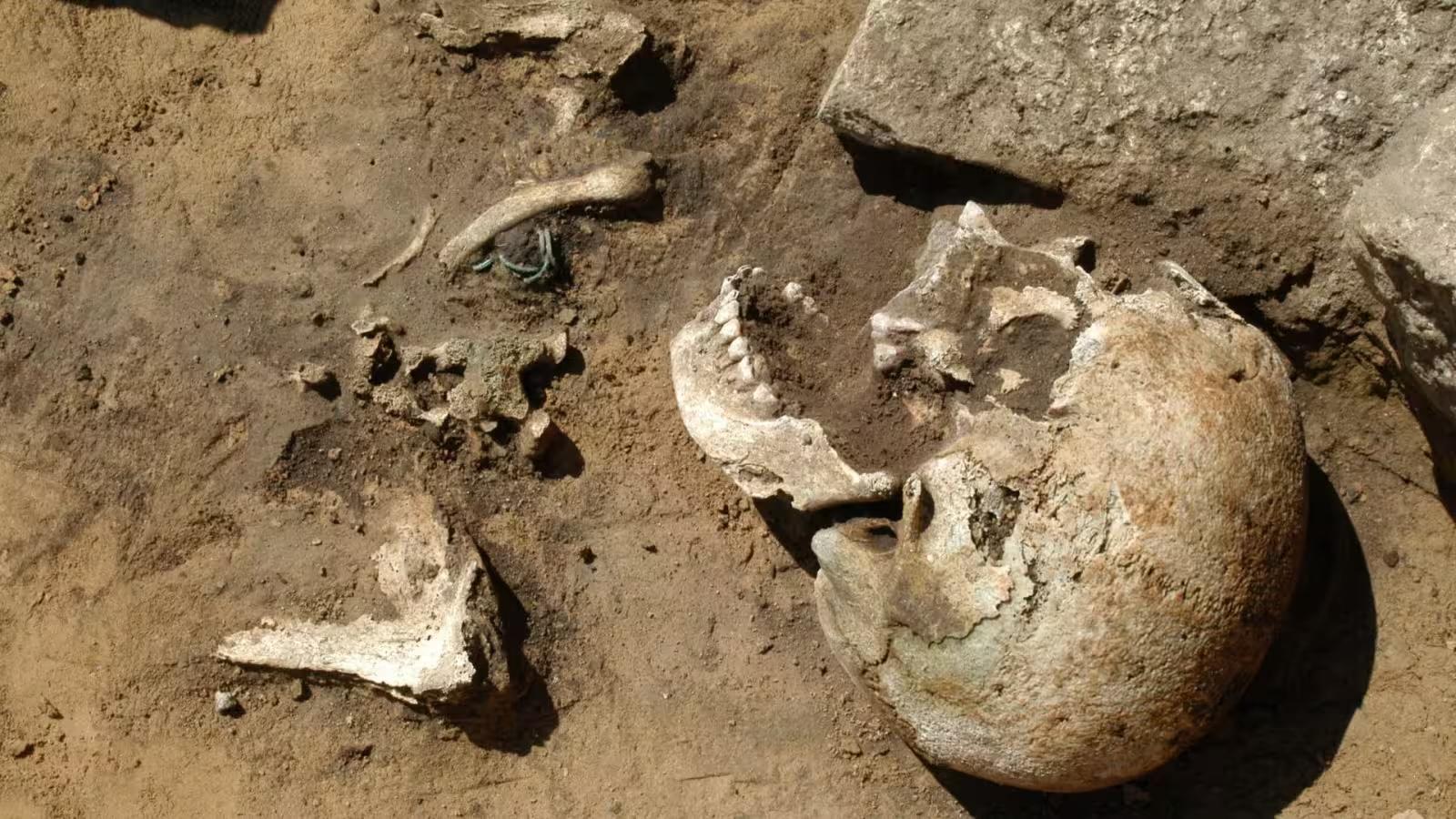 Life and Mobility in Late Bronze Age Central Europe Revealed by Ancient DNA, Isotopes and Burials