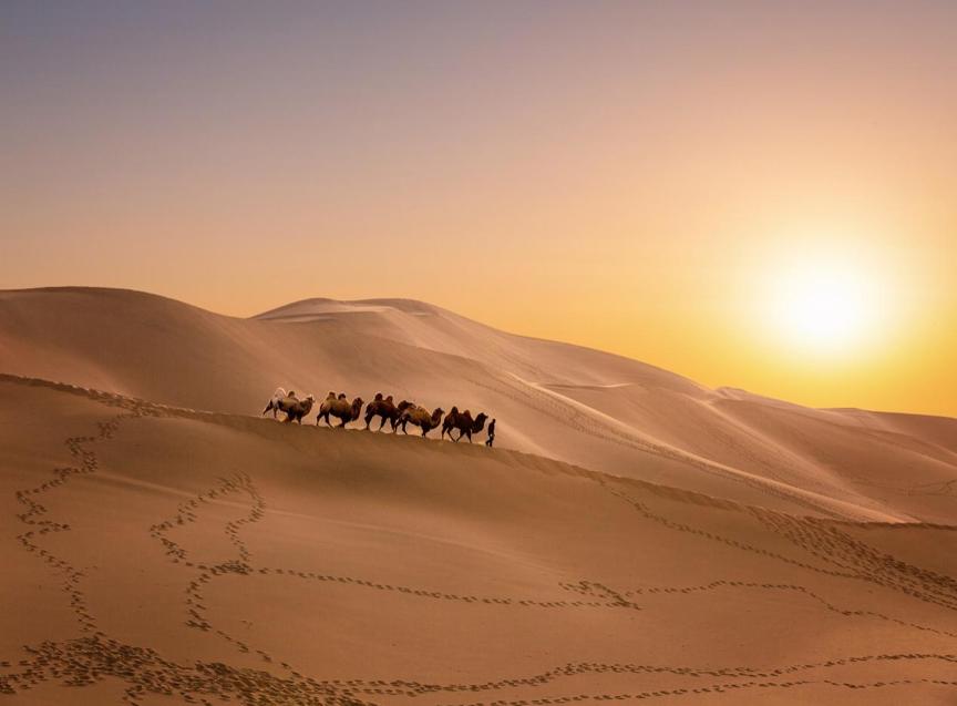 Reviving the Silk Road: Strengthening China-Central Asia Cooperation for a Shared Future